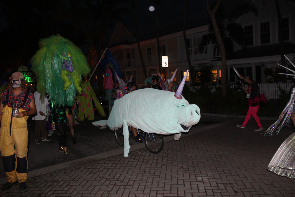 Fantasy Fest Parade 2017 photo - Duval Street, Key West